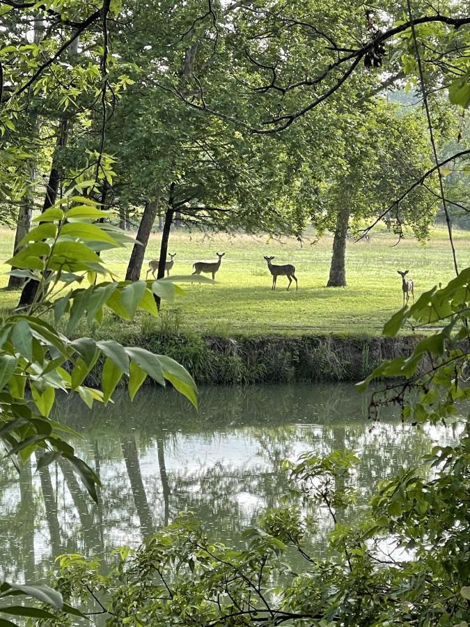 Htr Tx Hill Country Campground เคอร์วิลล์ ภายนอก รูปภาพ